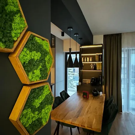 Apartman 15 Dreams - Qapartments Temesvár